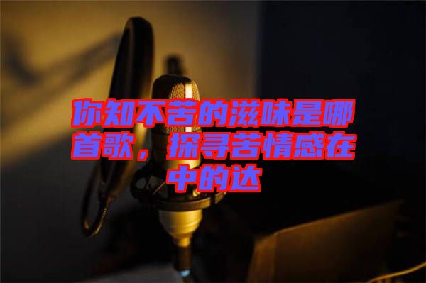 你知不苦的滋味是哪首歌，探尋苦情感在中的達(dá)