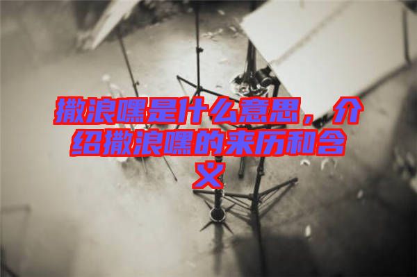 撒浪嘿是什么意思，介紹撒浪嘿的來歷和含義