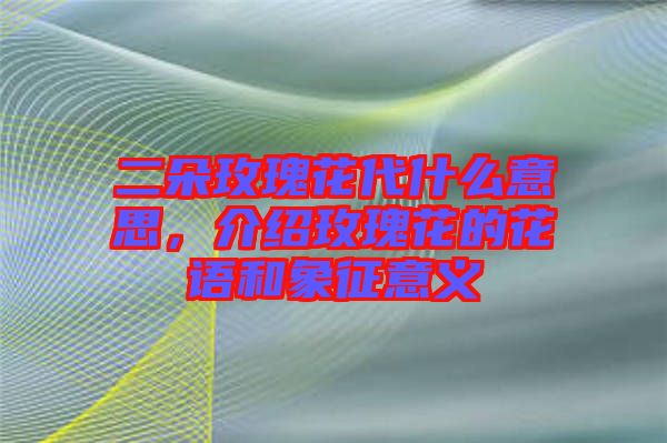 二朵玫瑰花代什么意思，介紹玫瑰花的花語和象征意義
