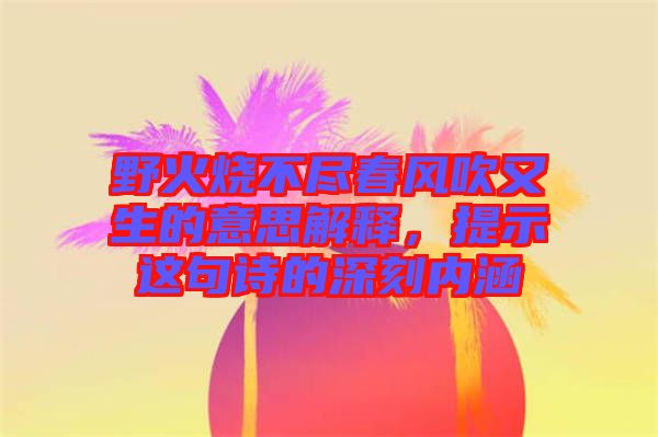 野火燒不盡春風(fēng)吹又生的意思解釋，提示這句詩的深刻內(nèi)涵