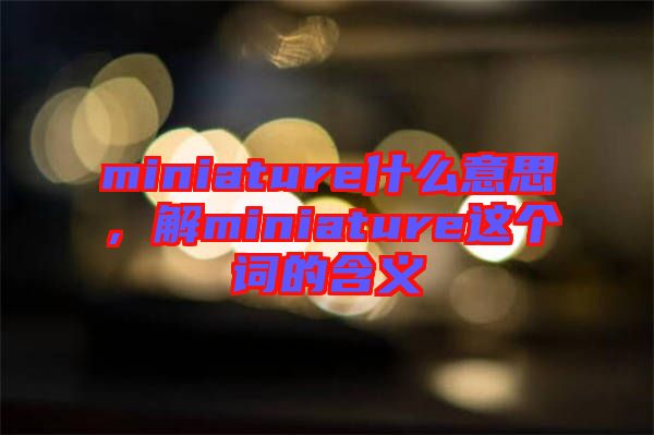 miniature什么意思，解miniature這個詞的含義