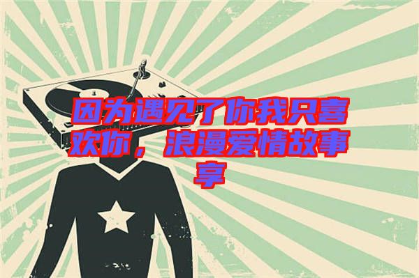 因?yàn)橛鲆娏四阄抑幌矚g你，浪漫愛情故事享
