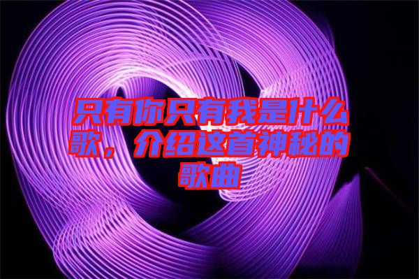 只有你只有我是什么歌，介紹這首神秘的歌曲