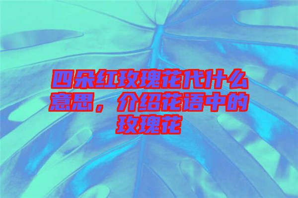 四朵紅玫瑰花代什么意思，介紹花語中的玫瑰花