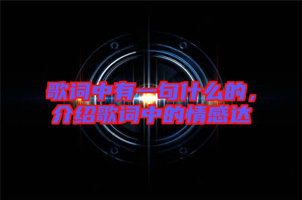 歌詞中有一句什么的，介紹歌詞中的情感達