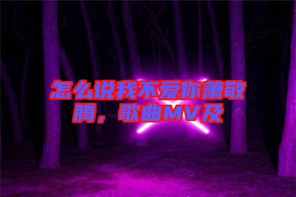 怎么說我不愛你蕭敬騰，歌曲MV及