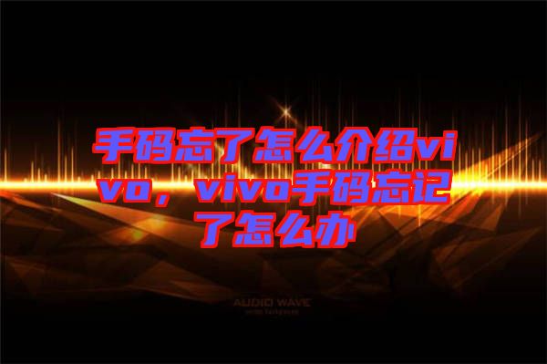 手碼忘了怎么介紹vivo，vivo手碼忘記了怎么辦