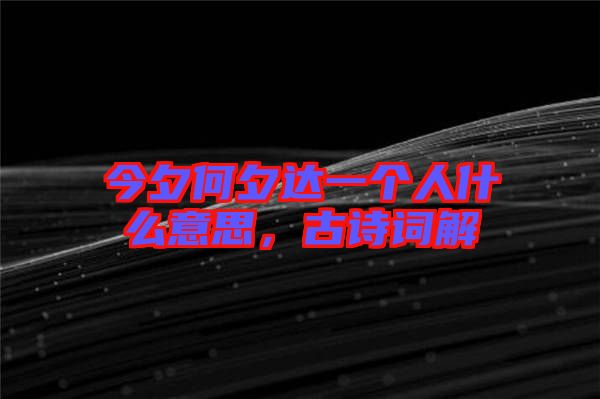 今夕何夕達(dá)一個(gè)人什么意思，古詩(shī)詞解