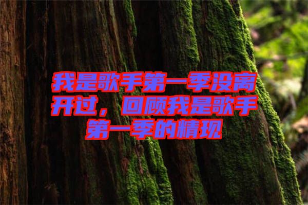 我是歌手第一季沒(méi)離開過(guò)，回顧我是歌手第一季的精現(xiàn)
