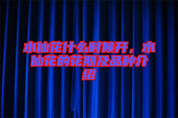 水仙花什么時(shí)候開，水仙花的花期及品種介紹