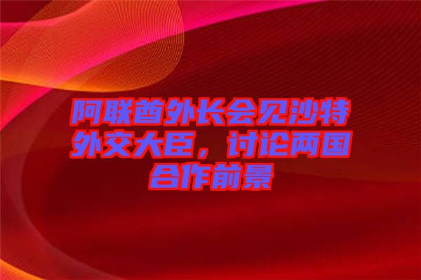 阿聯(lián)酋外長會(huì)見沙特外交大臣，討論兩國合作前景