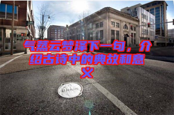 氣蒸云夢(mèng)澤下一句，介紹古詩中的典故和意義