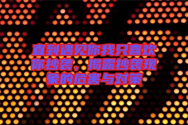 直到遇見你我只喜歡你抄襲，揭露抄襲現(xiàn)象的危害與對(duì)策