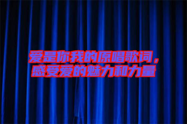 愛是你我的原唱歌詞，感受愛的魅力和力量