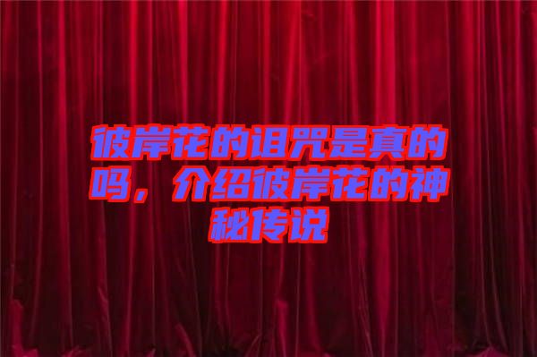 彼岸花的詛咒是真的嗎，介紹彼岸花的神秘傳說
