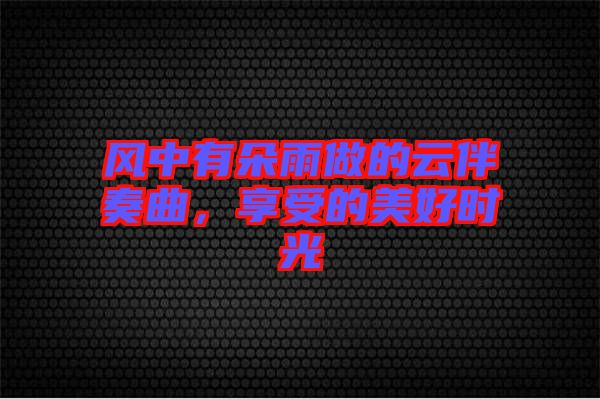 風(fēng)中有朵雨做的云伴奏曲，享受的美好時光