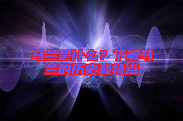 馬蘭是什么？了解馬蘭的歷史和特點