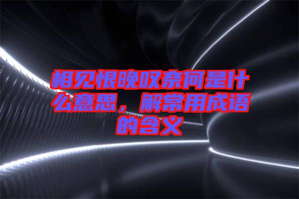 相見恨晚嘆奈何是什么意思，解常用成語(yǔ)的含義