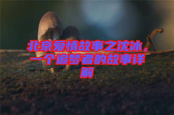 北京愛(ài)情故事之沈冰，一個(gè)追夢(mèng)者的故事詳解