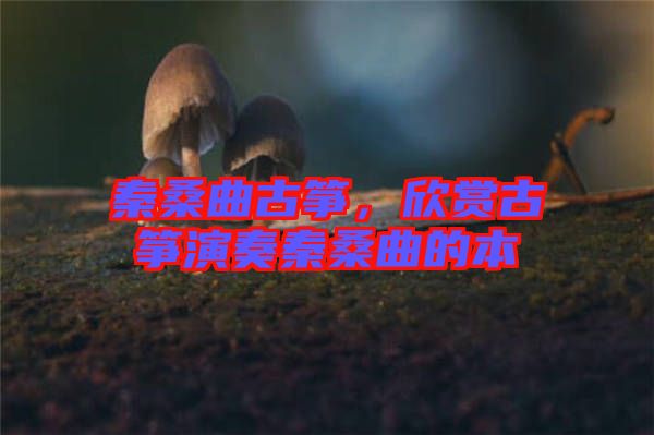 秦桑曲古箏，欣賞古箏演奏秦桑曲的本