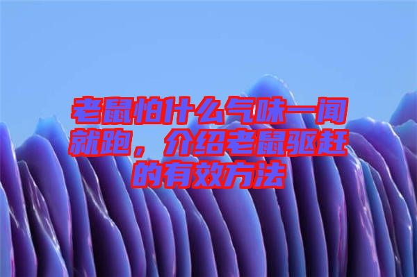 老鼠怕什么氣味一聞就跑，介紹老鼠驅(qū)趕的有效方法