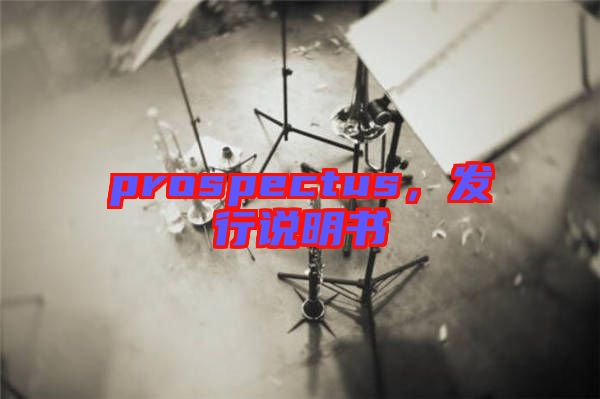 prospectus，發(fā)行說明書