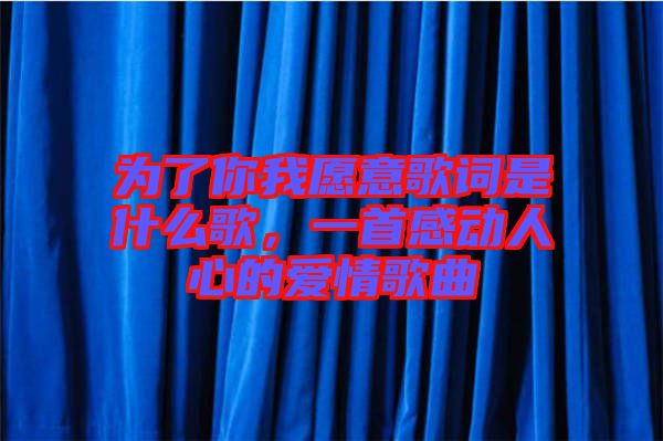 為了你我愿意歌詞是什么歌，一首感動人心的愛情歌曲
