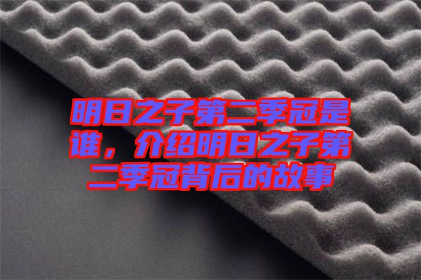 明日之子第二季冠是誰(shuí)，介紹明日之子第二季冠背后的故事