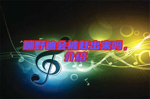 蹦野迪會(huì)被趕出來嗎，介紹