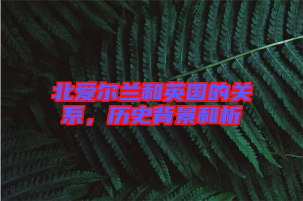北愛爾蘭和英國的關(guān)系，歷史背景和析