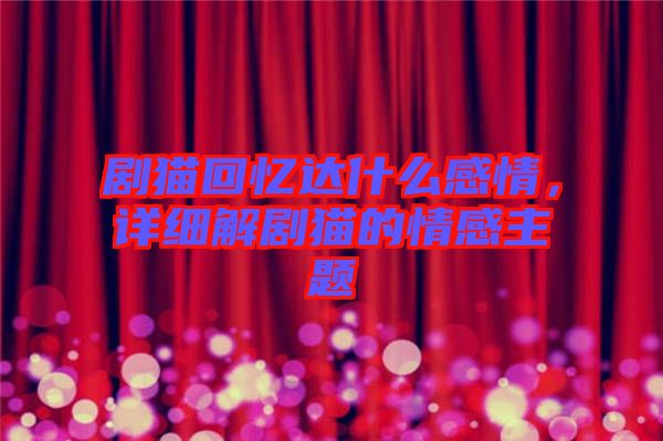 劇貓回憶達什么感情，詳細解劇貓的情感主題
