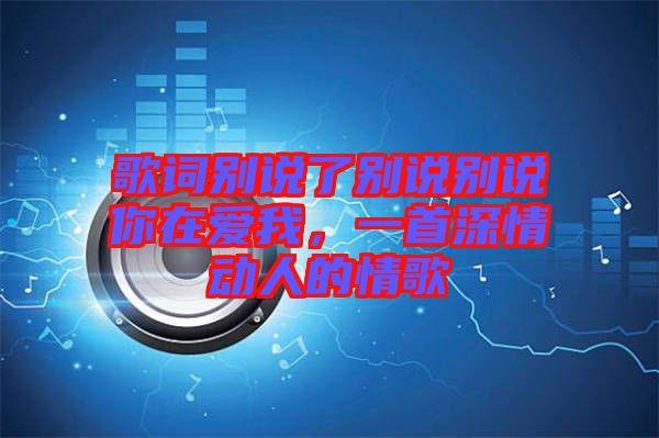 歌詞別說了別說別說你在愛我，一首深情動(dòng)人的情歌