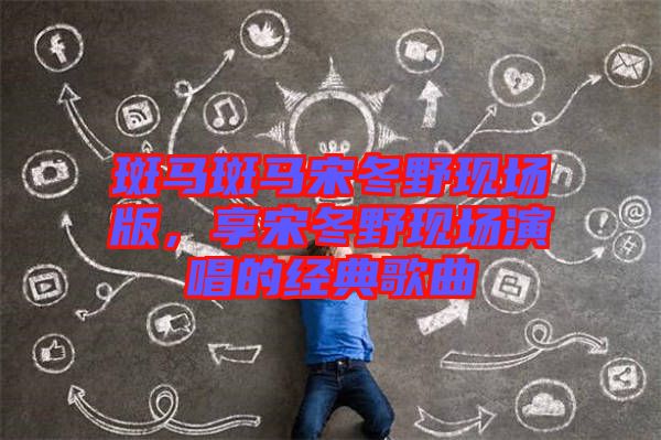 斑馬斑馬宋冬野現(xiàn)場版，享宋冬野現(xiàn)場演唱的經(jīng)典歌曲