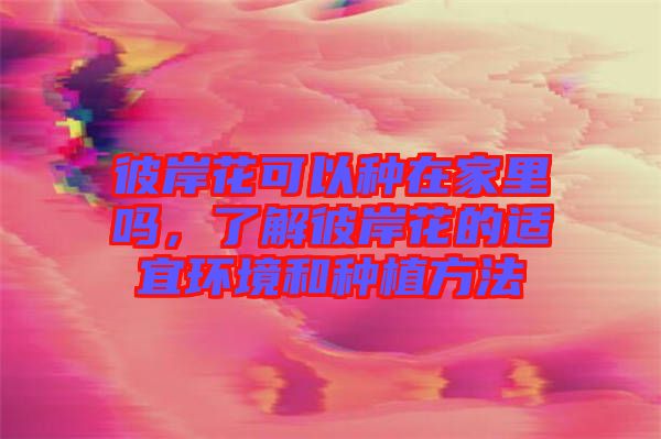 彼岸花可以種在家里嗎，了解彼岸花的適宜環(huán)境和種植方法