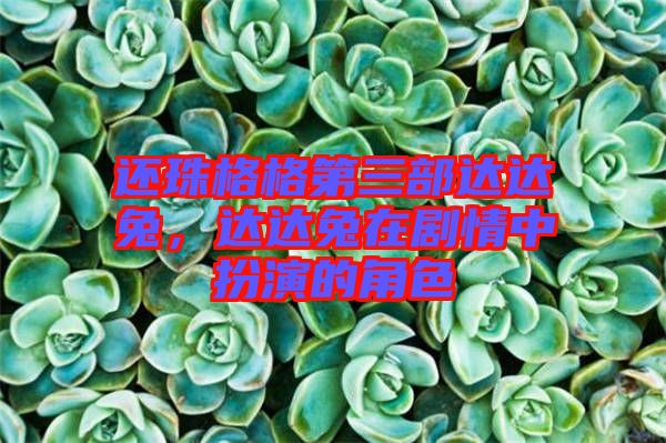 還珠格格第三部達(dá)達(dá)兔，達(dá)達(dá)兔在劇情中扮演的角色