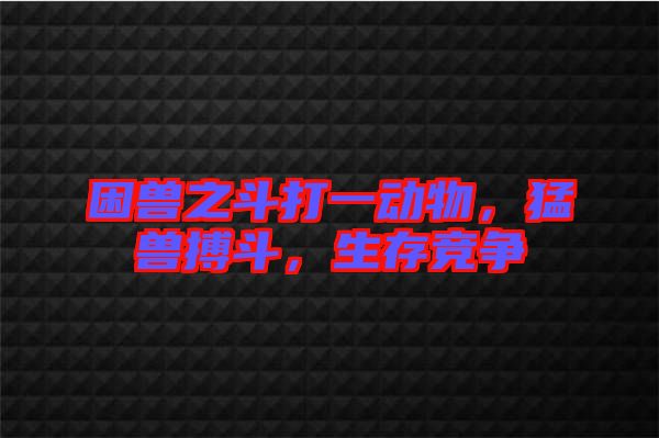 困獸之斗打一動物，猛獸搏斗，生存競爭