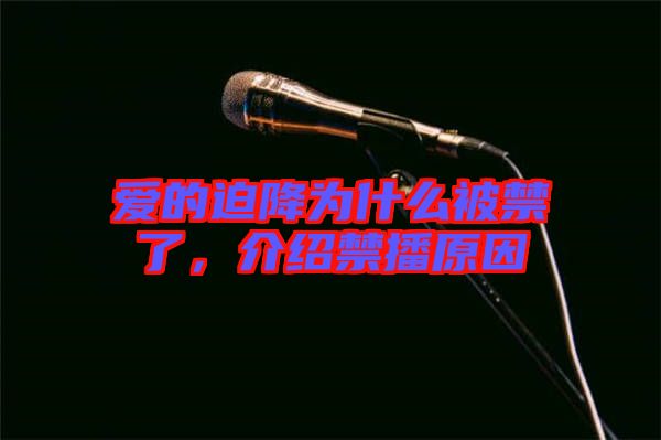 愛的迫降為什么被禁了，介紹禁播原因