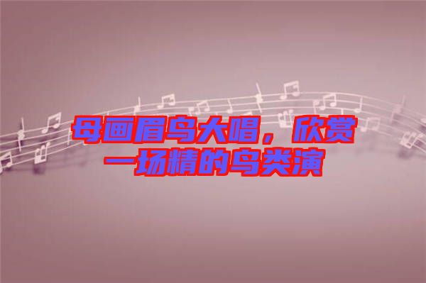 母畫眉鳥大唱，欣賞一場精的鳥類演