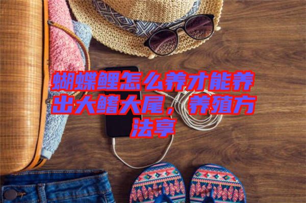 蝴蝶鯉怎么養(yǎng)才能養(yǎng)出大鰭大尾，養(yǎng)殖方法享
