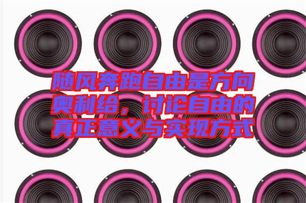 隨風(fēng)奔跑自由是方向奧利給，討論自由的真正意義與實(shí)現(xiàn)方式