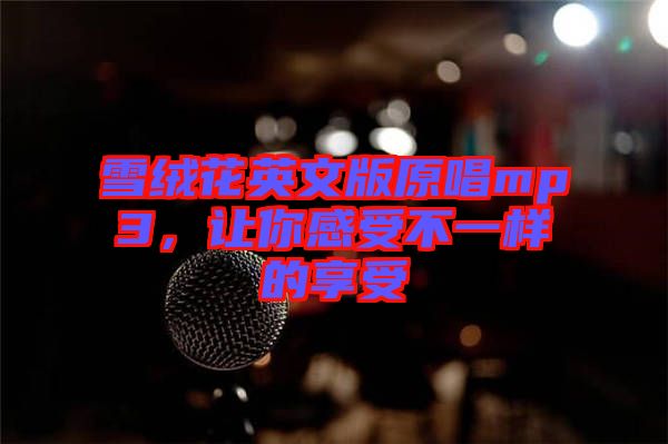 雪絨花英文版原唱mp3，讓你感受不一樣的享受