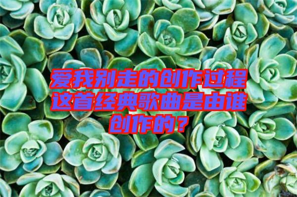 愛我別走的創(chuàng)作過程這首經(jīng)典歌曲是由誰創(chuàng)作的？