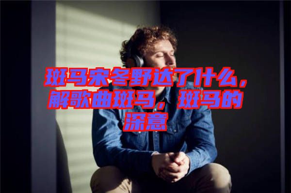 斑馬宋冬野達了什么，解歌曲斑馬，斑馬的深意