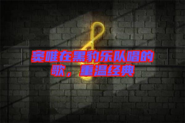 竇唯在黑豹樂隊唱的歌，重溫經(jīng)典