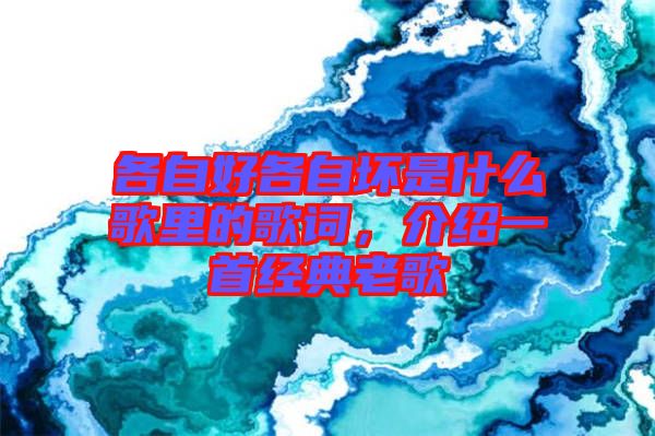 各自好各自壞是什么歌里的歌詞，介紹一首經(jīng)典老歌