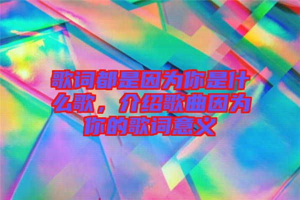 歌詞都是因?yàn)槟闶鞘裁锤?，介紹歌曲因?yàn)槟愕母柙~意義