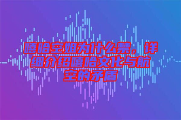 嘻哈空姐為什么禁，詳細介紹嘻哈文化與航空的矛盾