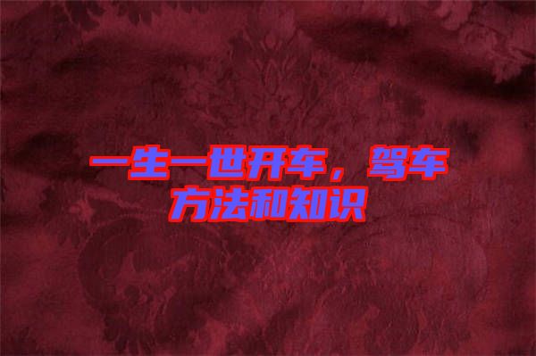 一生一世開車，駕車方法和知識(shí)