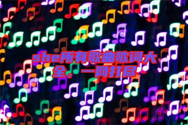 she所有歌曲歌詞大全，一網(wǎng)打盡