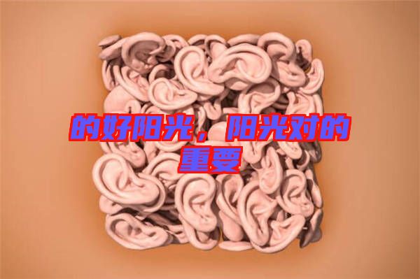 的好陽(yáng)光，陽(yáng)光對(duì)的重要